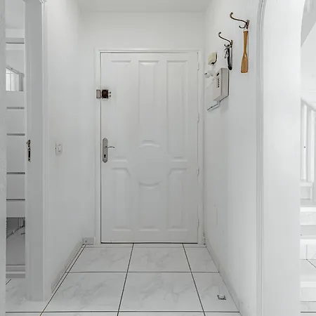 فيلة Mimosas أذيخي