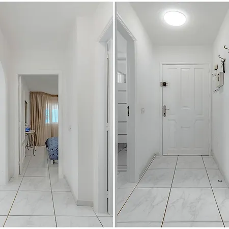 Mimosas فيلة أذيخي